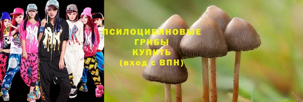 метадон Горнозаводск