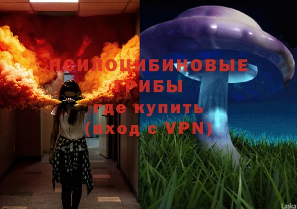 экстази Вяземский
