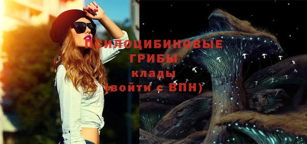 спиды Вязьма