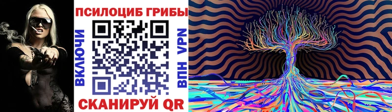 наркота  Владимир  Псилоцибиновые грибы мухоморы 